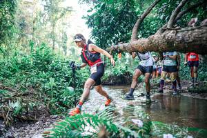 BIB: 
                            <button type="button" onclick="openModal(25454505)" class="btn btn-primary btn-sm float-right btn-popup" data-toggle="modal" data-target=".modal-high-quality">
                        <i class="fas fa-shopping-cart"></i> Add to Cart
                    </button>
                                            <button type="button" onclick="isThisMe(25454505, true)" class="btn btn-success btn-sm float-right btn-popup btn-isme hidden" data-toggle="tooltip" data-placement="bottom" title="นี่คือรูปของคุณใช่ไหม คลิกที่นี่เพื่อเอาเข้าอัลบั้ม">
                        <i class="fas fa-plus"></i> Add to album
                    </button>
                    <button type="button" onclick="isThisMe(25454505, false)" class="btn btn-warning btn-sm float-right btn-popup btn-isnotme hidden">
                        <i class="fas fa-ban"></i> Remove from album
                    </button>